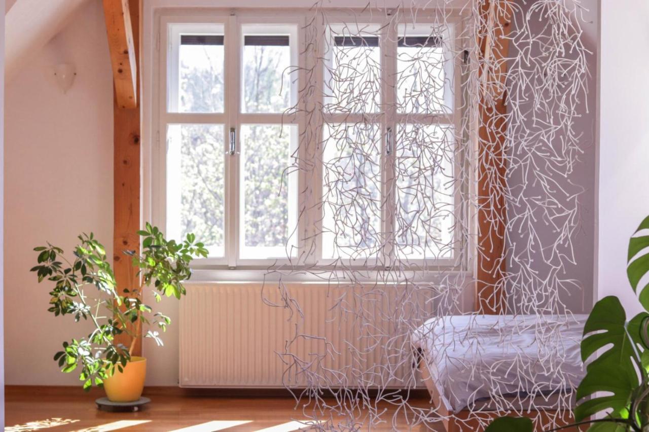 Apartment In The Heart Of Bled With Views Екстериор снимка
